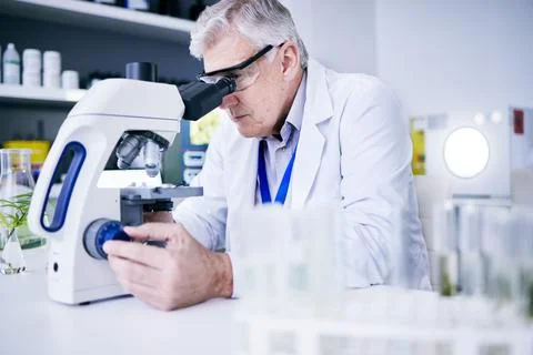 Senior scientist, man and microscope, analysis and science study with medical Foto stock