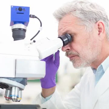 Senior scientist  microscoping in lab. Stock Photos