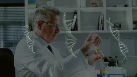 Senior scientist picking up pipette drawing DNA sample for lab assay while helix Stock Footage 330397067
