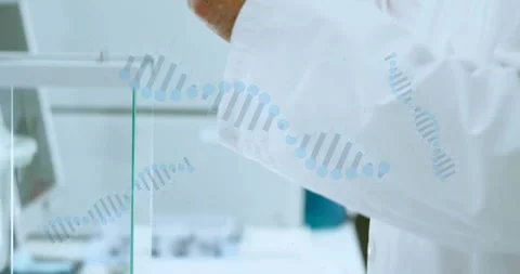 Senior scientist placing sample on balance in lab, DNA helix overlay guiding Stock Footage 333967441