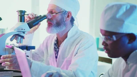Senior scientist using microscope with young colleague in laboratory Stock Footage 306585144