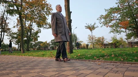 Senior stroll in park in fall Stock Footage 146447373