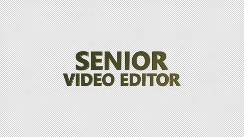 Senior Video Editor Stock Footage 344361899