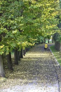 Senior walking in a park 스톡 사진