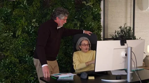 Senior woman explaining computer screen content to male colleague standing by Stock Footage 341573670