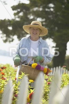 Senior woman gardening Stock Photos