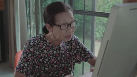 Senior Woman Using Computer at Home Stock Footage 314901418