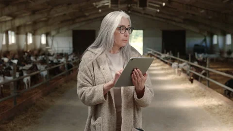 Senior woman using digital tablet while working at goat farm Stock Footage 157576471