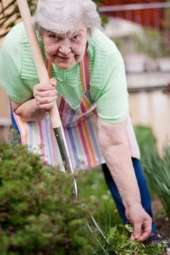 Senior at work in the garden 스톡 사진