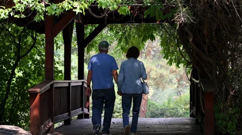 Seniors On Covered Bridge Vidéo 33849540