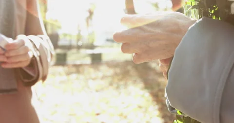 Senior's hands takes a wedding ring out of box and puts it on beloved's finger Stock Footage 133329464