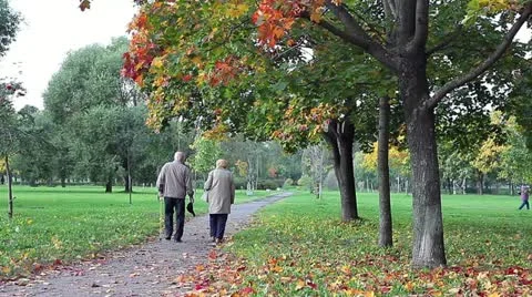 Seniors people walking together in autumn city park Stock Footage