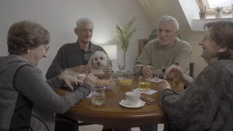 Seniors spending a great time together with friends at home Stock Footage 331316211