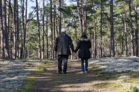 Seniors walking in the forest Stock Photos