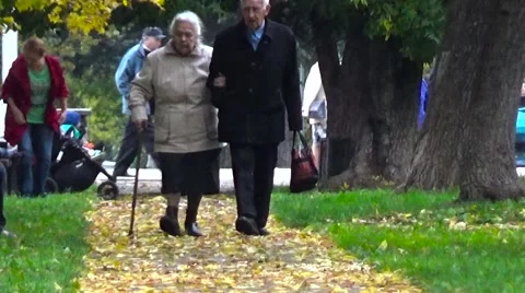 Seniors walking in the park. Stock Footage 54539356