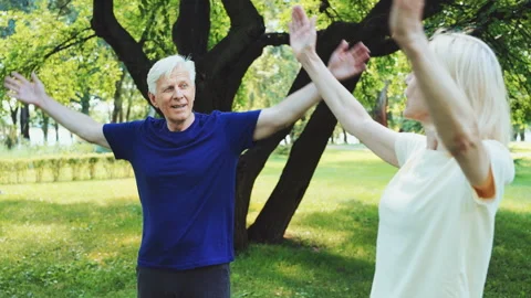 Seniors warming up in park Stock Footage 282291937