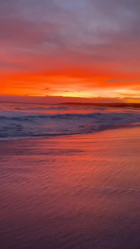 Senja Stock Footage 212674909