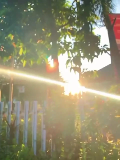 Senja Stock Footage 234871154