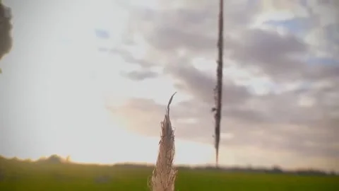 Senja yang indah 動画素材 256682899