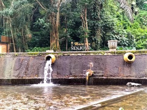 Senjoyo Springs Stock Photos