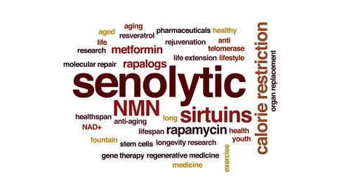 Senolytic animated word cloud. Kinetic typography. Stock Footage 109167365