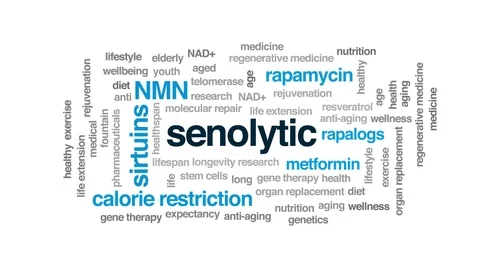 Senolytic animated word cloud. Kinetic typography. Видео 109362256