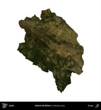 Senorio de Molina, Spain, isolated on white. Sentinel-2 Mosaic. January 2020 Illustration