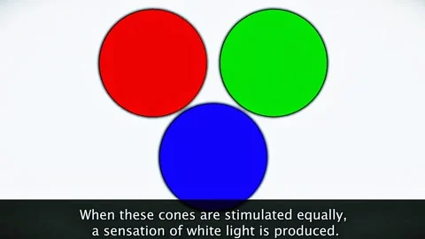 Sense and Perception of different colours Stock Footage 322527293