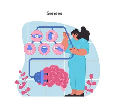 Senses concept illustration. A visual exploration of the five senses connected イラスト素材