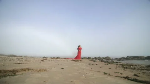 Sensitive beautiful plus size model at the beach in red dress Stock Footage 110850280
