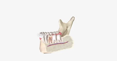 Sensitive teeth is a common dental condition characterized by sharp tooth pai Stock Illustration