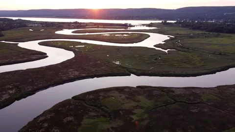A sensitive tidal ecosystem Stock Footage 158902224
