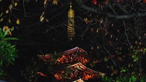 Sensoji Temple ASAKUSA Stock Footage 229573108