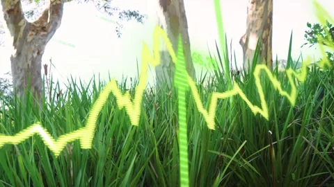 Sensor ping driving wave over grass, peaking then falling, green ribbon sliding Vídeos de archivo 333193336