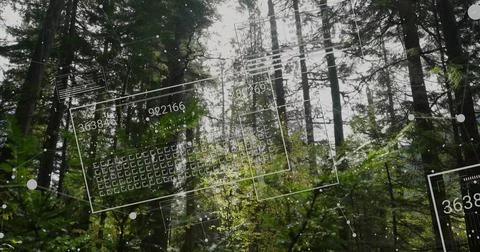 Sensors scanning canopy, projecting numbered panels and nodes, updating then Stock Photos