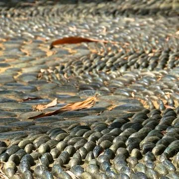 Sensory footpath Stock Photos