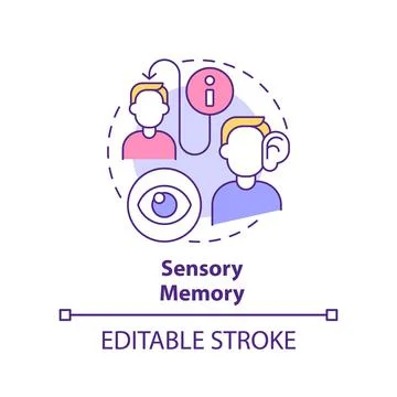 Sensory memory concept icon Stock Illustration