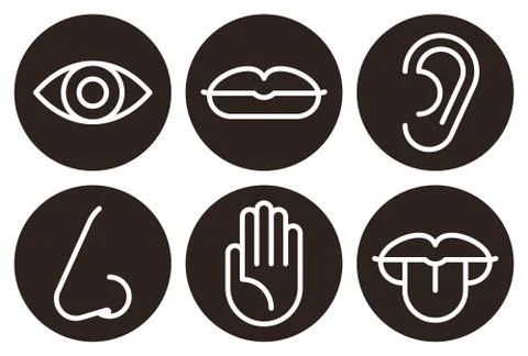Sensory organs icon set Stock Illustration
