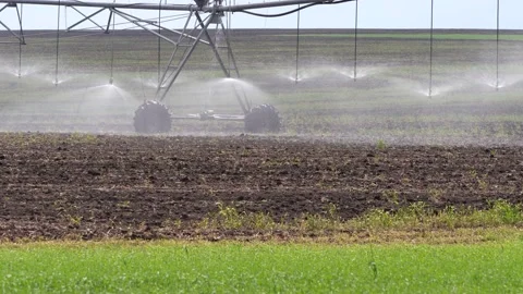 Сenter pivot irrigation system. Watering on the field Stock Footage 169410151