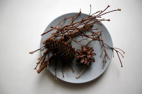 Sentimental fall objects on a plate Stock-Fotos