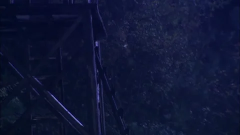 Sentinel of the night Stock Footage 235267365