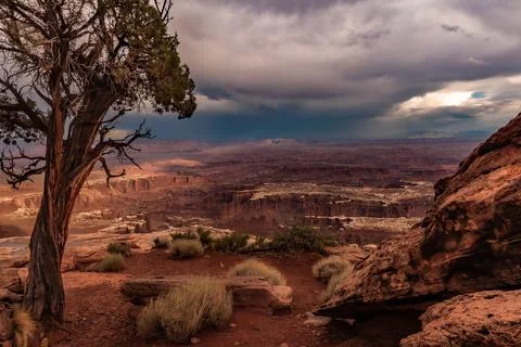 Sentinel tree to the landscape below with thunderstorm clouds in the sky Ut.. Stock Photos