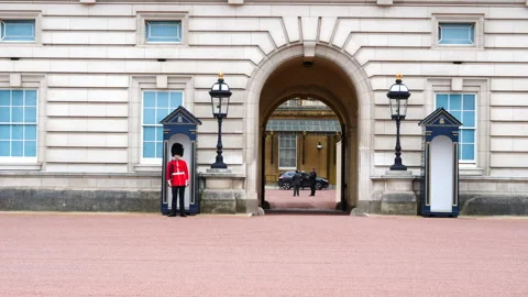 Sentry of Grenadier guard at Buckingham Palace, London. Static Video stock 247541785