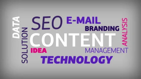 SEO content analysis word cloud. Data solution management Stock Footage 169340888