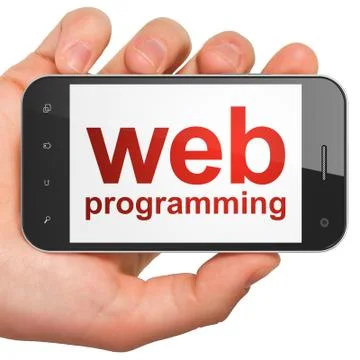 SEO web development concept: Web Programming on smartphone Stock Illustration