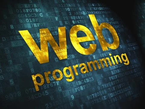 SEO web development concept: Web Programming on digital backgrou Stock Illustration
