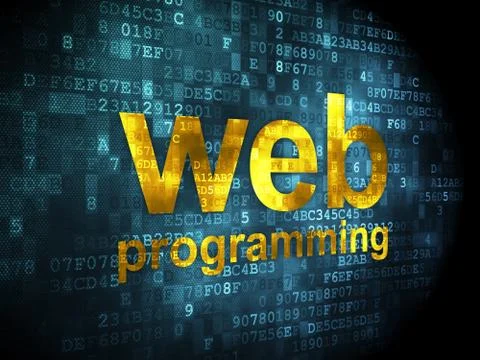 SEO web development concept: Web Programming on digital background Stock Illustration