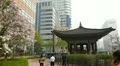 Seoul City Center, Central Area Road, Skyscrapers, Asia Shopping, South Korea HD Footage