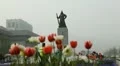 Seoul City Center, Central Area Road, Skyscrapers, Asia Shopping, South Korea HD Footage