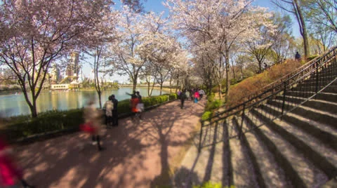 Seoul City Stock Footage 23618810